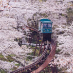 สวนปราสาทเก่าฟุนะโอกะ (Funaoka Joshi Park)