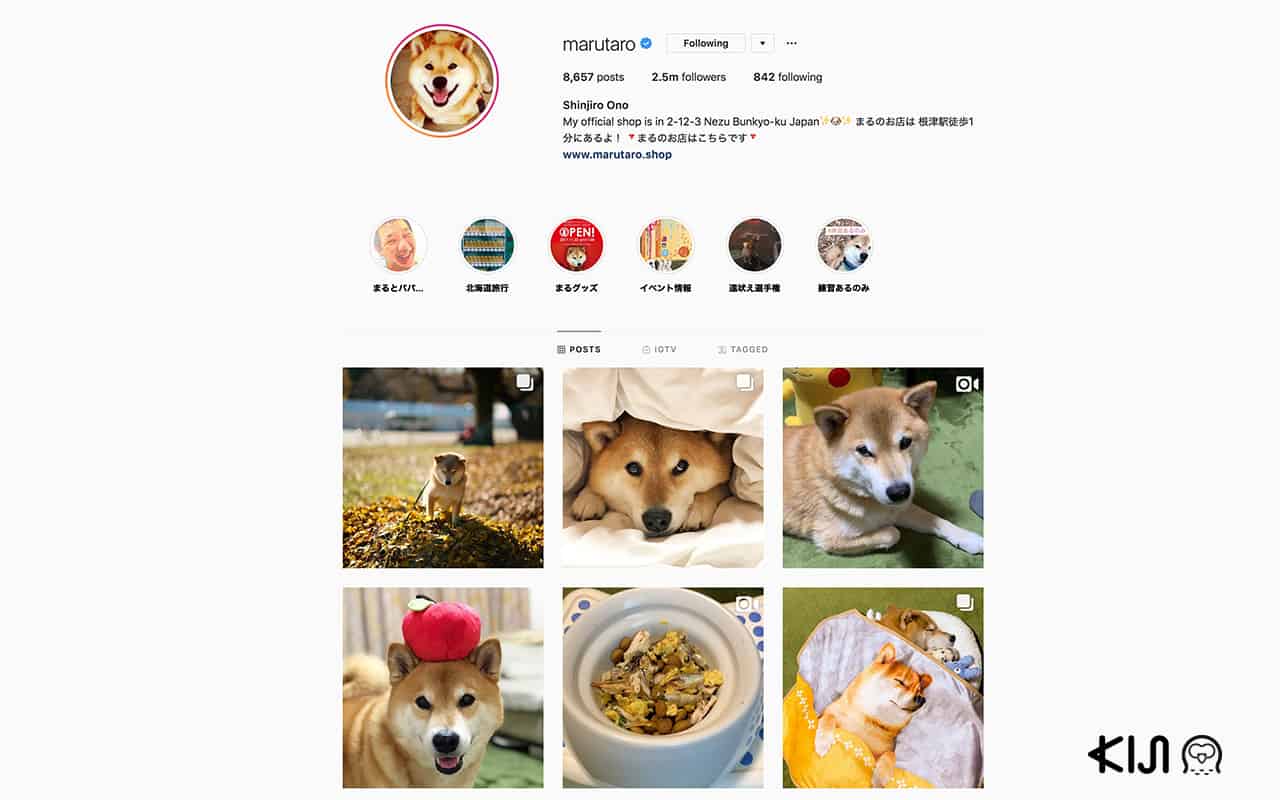 อินสตาแกรม @marutaro ที่เจ้าของได้โพสภาพสุนัขพันธุ์อาคิตะที่ตัวเองเลี้ยงจนโด่งดังเป็นอย่างมาก