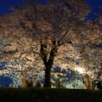 หมู่บ้านซามูไรคาคุโนดาเตะ (Kakunodate Samurai Residences)