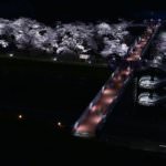 ฮิโตะเมะเซ็มบงซากุระ (Hitome Senbonzakura)