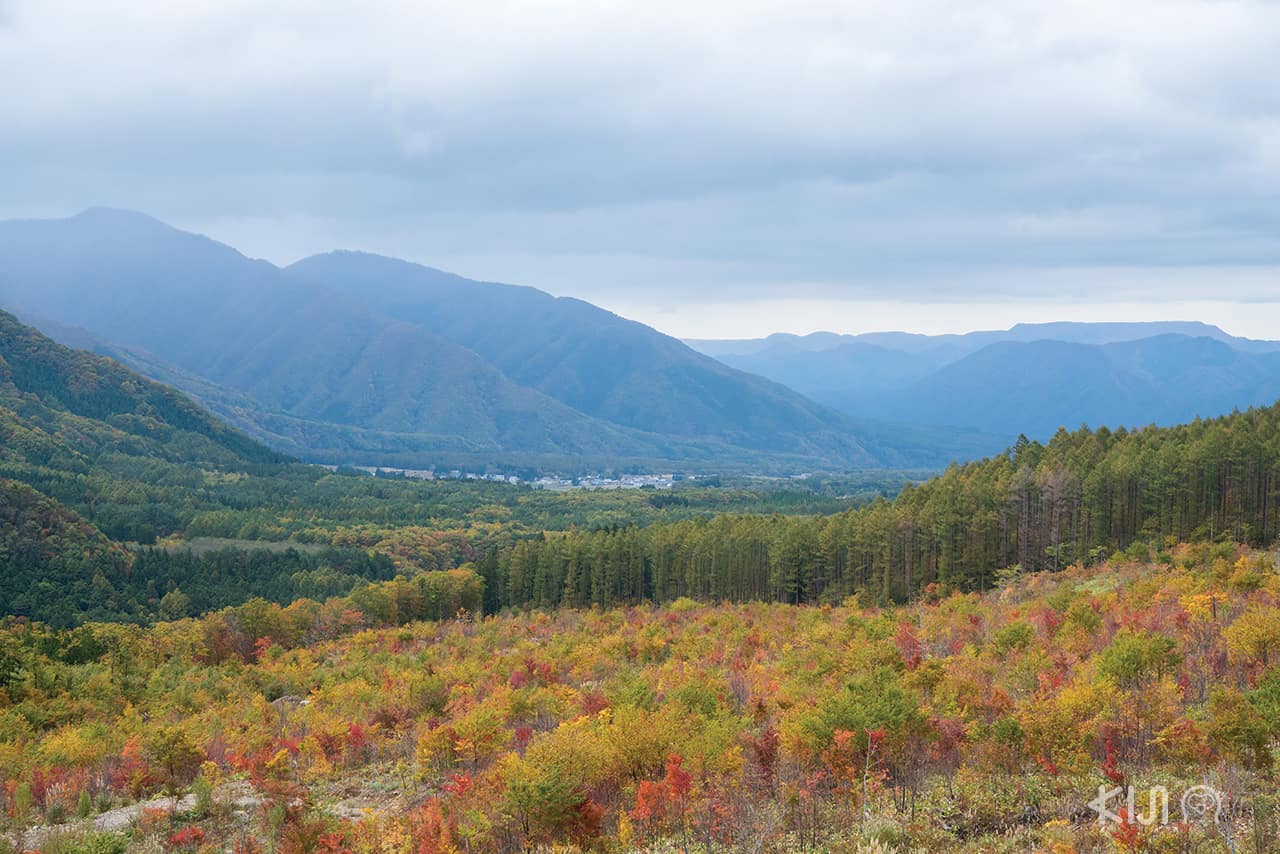 อุทยาน Kannon Numa Forest Park ไอสึวากามัตสึ (Aizu-Wakamatsu)