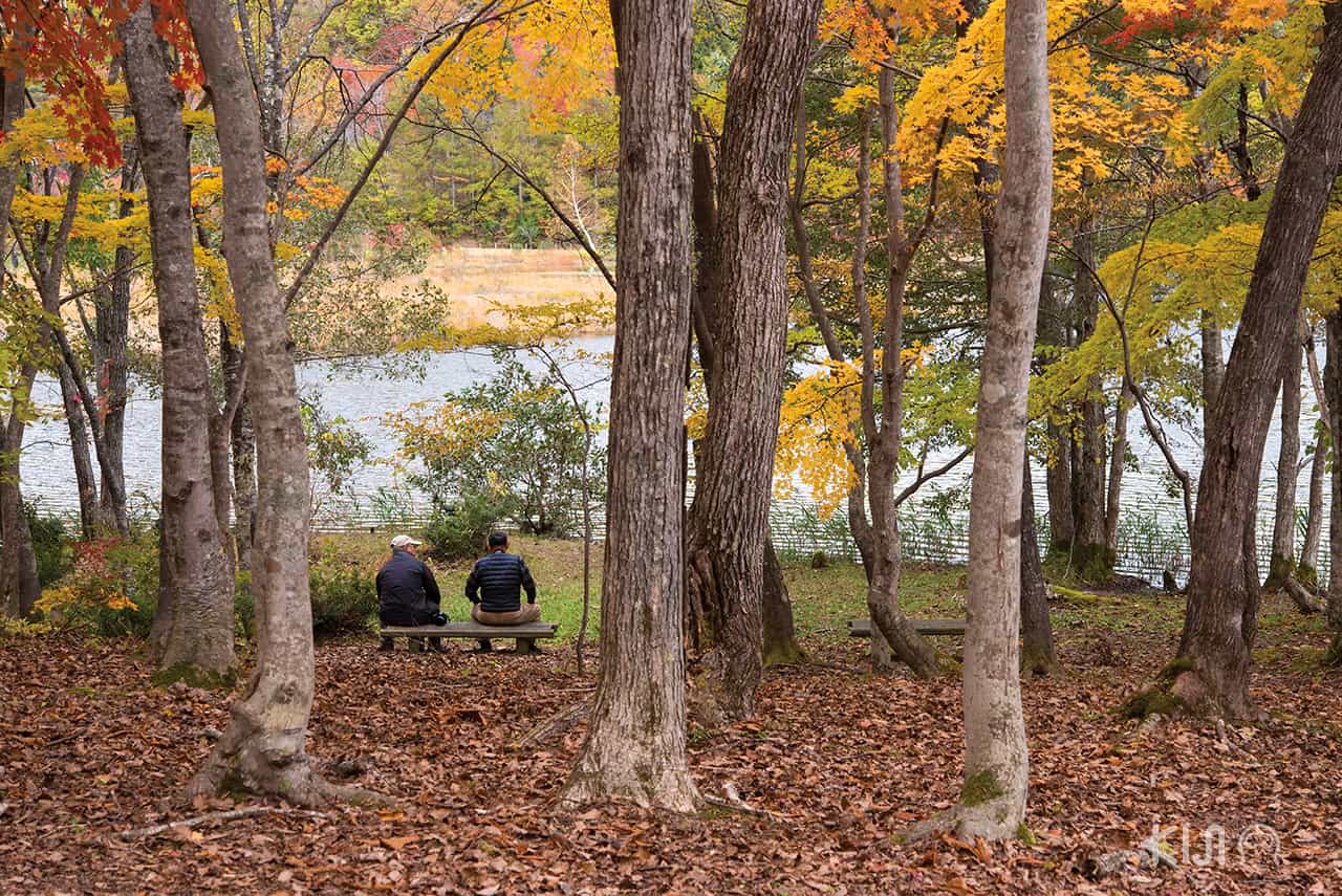 บรรยากาศรอบๆ Kannon Numa Forest Park ที่ Aizu-Wakamatsu