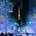 What Japanese Do During Christmas (2)