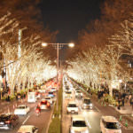 What Japanese Do During Christmas (5)