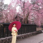 หมู่บ้านซามูไรคาคุโนดาเตะ (Kakunodate Samurai Residences)