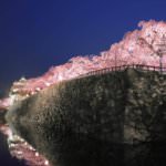 สวนปราสาทฮิโรซากิ (Hirosaki Castle Park)