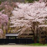 หมู่บ้านซามูไรคาคุโนดาเตะ (Kakunodate Samurai Residences)