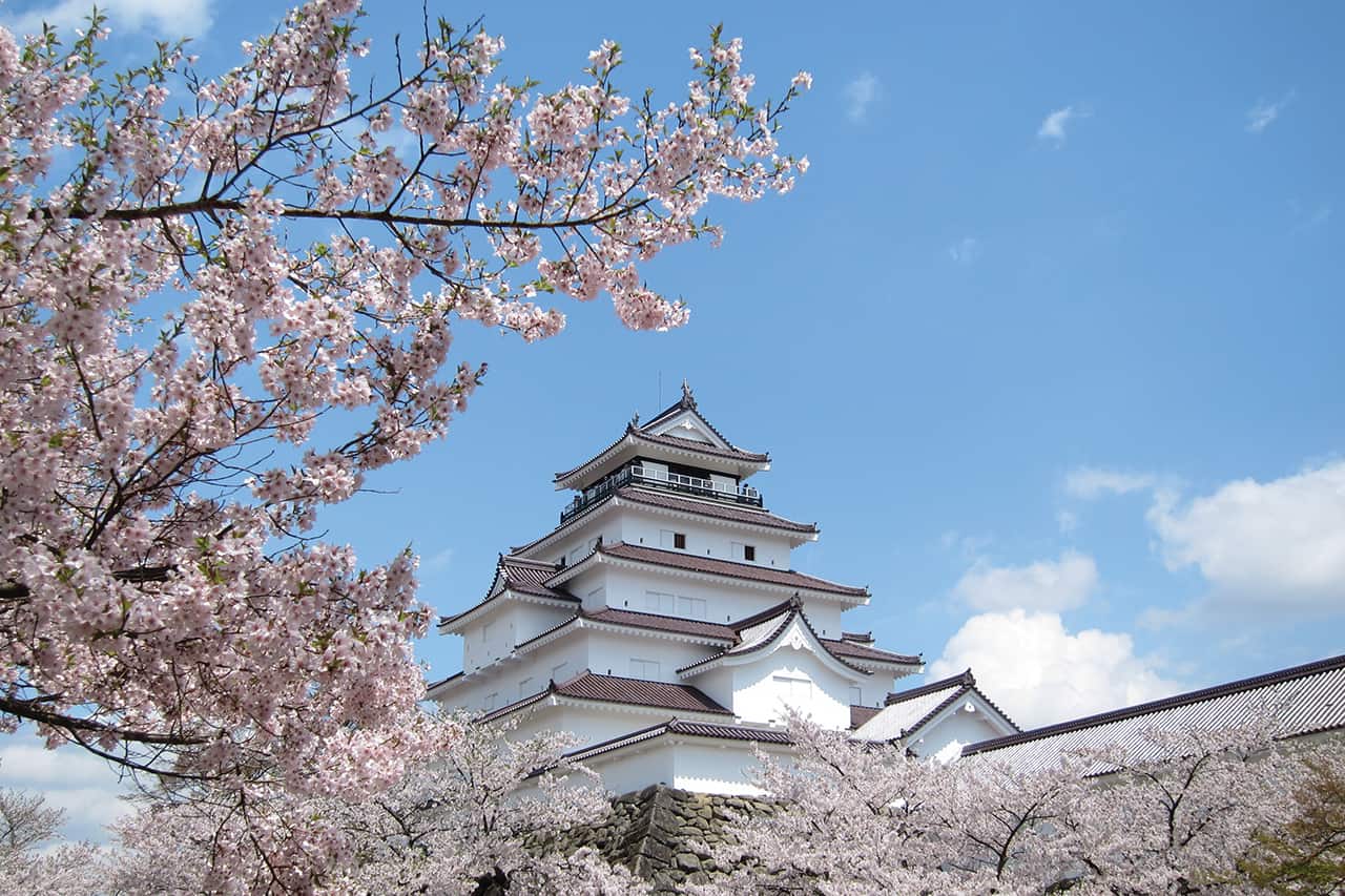 ปราสาทซึรุงะ (Tsuruga Castle) หรือปราสาทนกกะเรียน ที่ไอสึวากามัตสึ (Aizu-Wakamatsu)