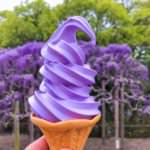ไอศกรีมวิสทีเรีย ที่สวนดอกไม้อาชิคากะ (Ashikaga Flower Park)