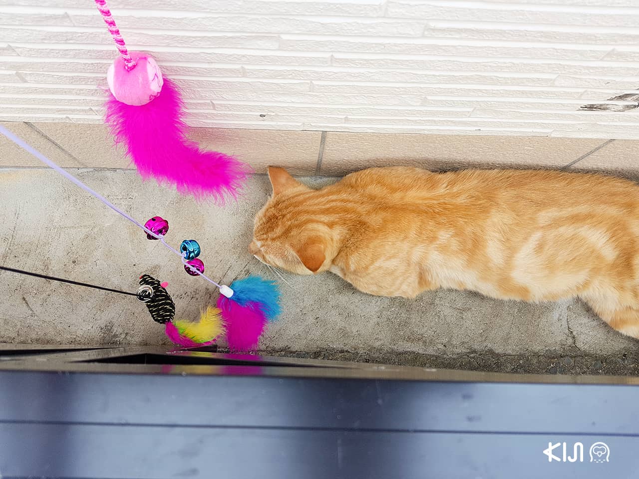 ศาลเจ้านามิโนะอุเอะ จังหวัดโอกินาว่า (Okinawa)