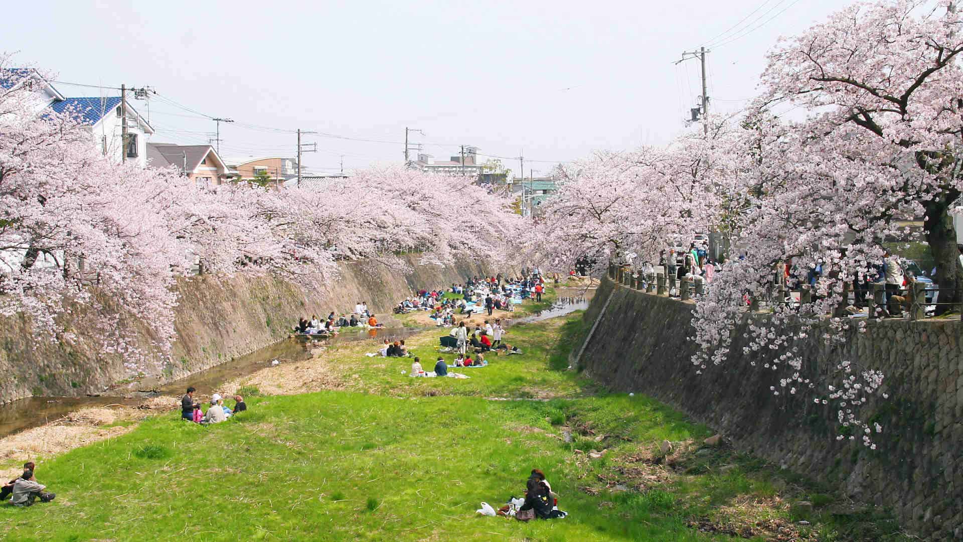 Ashiyagawa Park