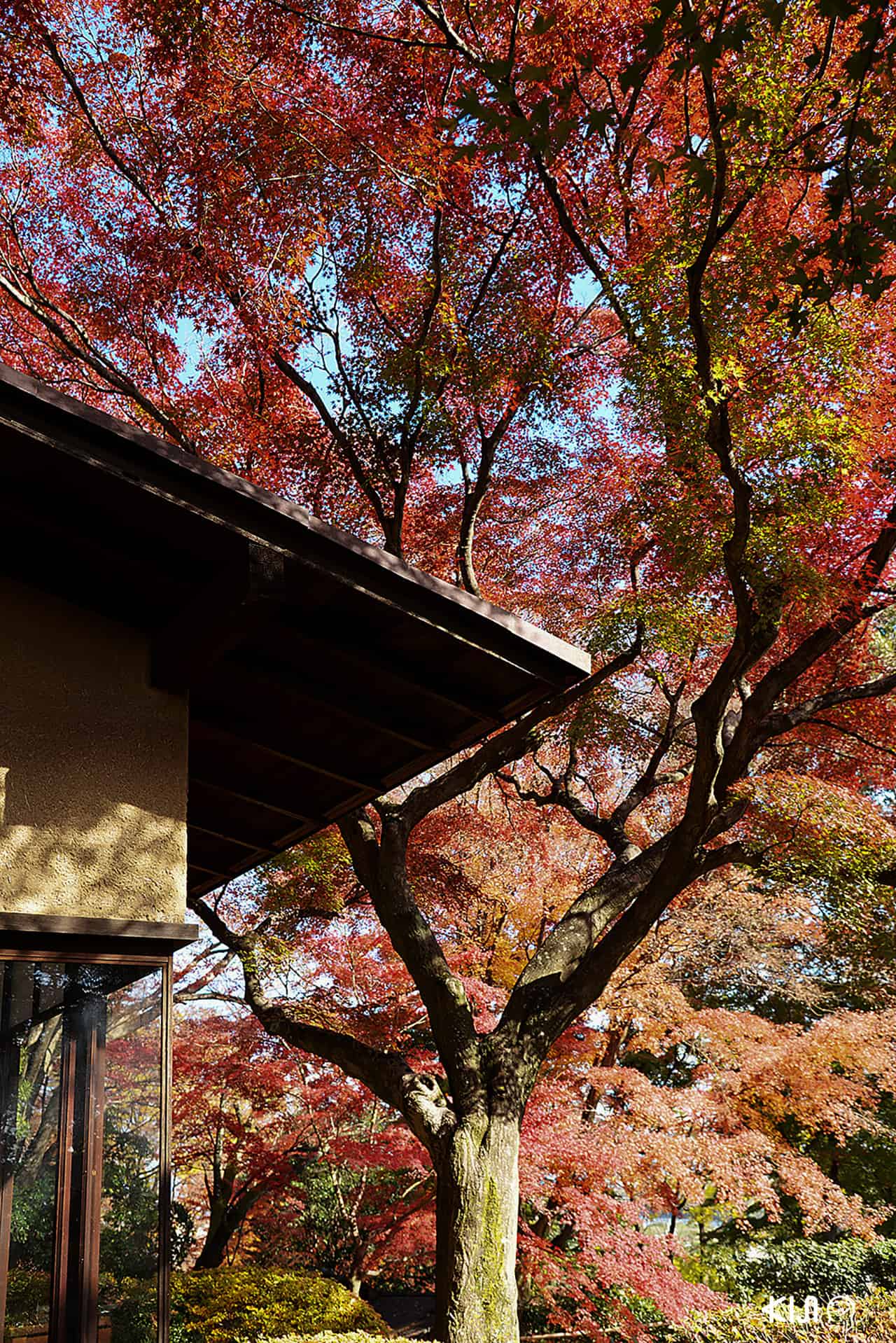 บ้านโชชิคุเคียว