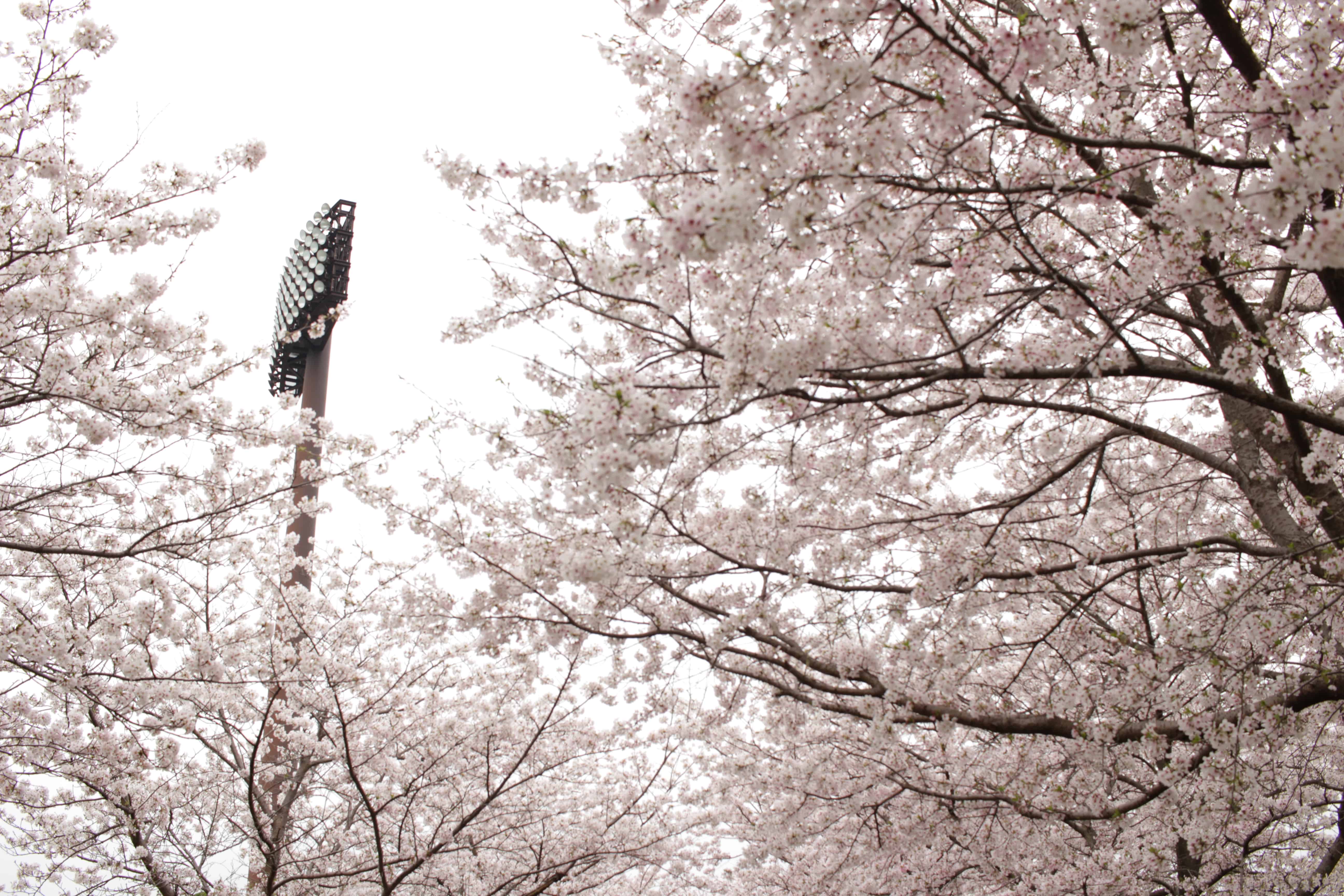 Hanshin Koshien Stadium