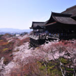 Kiyomizudera