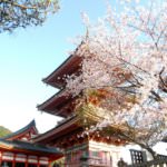 Kiyomizusakura