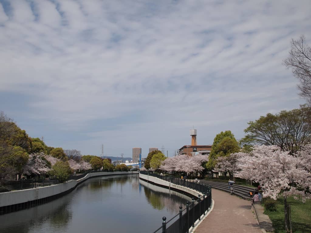 Yomogawa Ryokuchi Park