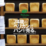 pelican74_top_visual