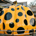 Pumpkin Forever ที่พิพิธภัณฑ์ Forever Museum of Contemporary Art