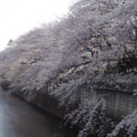 27190095508_fa2b1caf4f_o