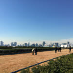 432fdc658120202e8fc116f783a8b038