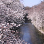 5499a46d9253585f432a7a0cdb576da6-1600×800