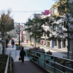 Cat_Street,_Ura_Harajuku_2