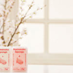 E27CB0C7-AE94-4B35-8830-17E273D13035-21514-00001C863B05D8FA