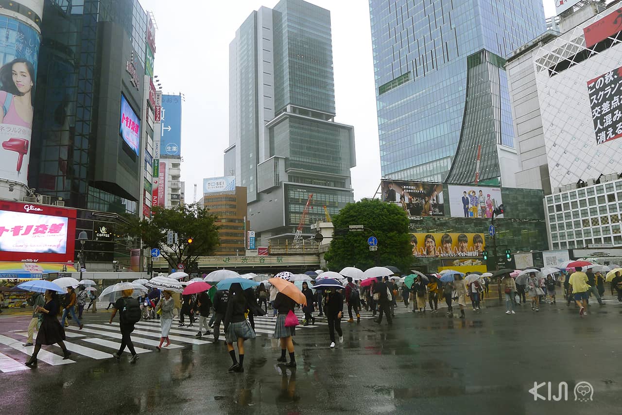 Shibuya