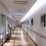 Toyosu-Market-Block-7-Viewing-Gallery