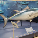 photo-174-2-1280×720