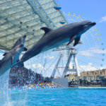 Port of Nagoya Public Aquarium