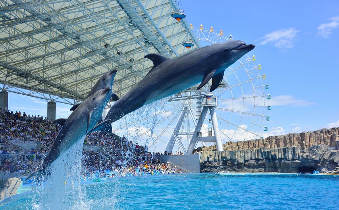 Port of Nagoya Public Aquarium
