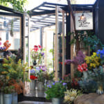 slideshow_img_3b5421