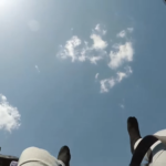 55759900_1762551847179363_7855426580871380992_n