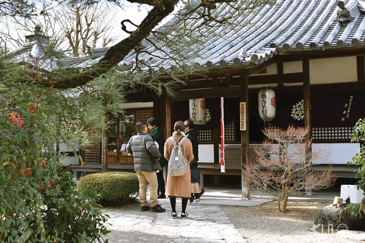 Temple tour at Nara and Uji