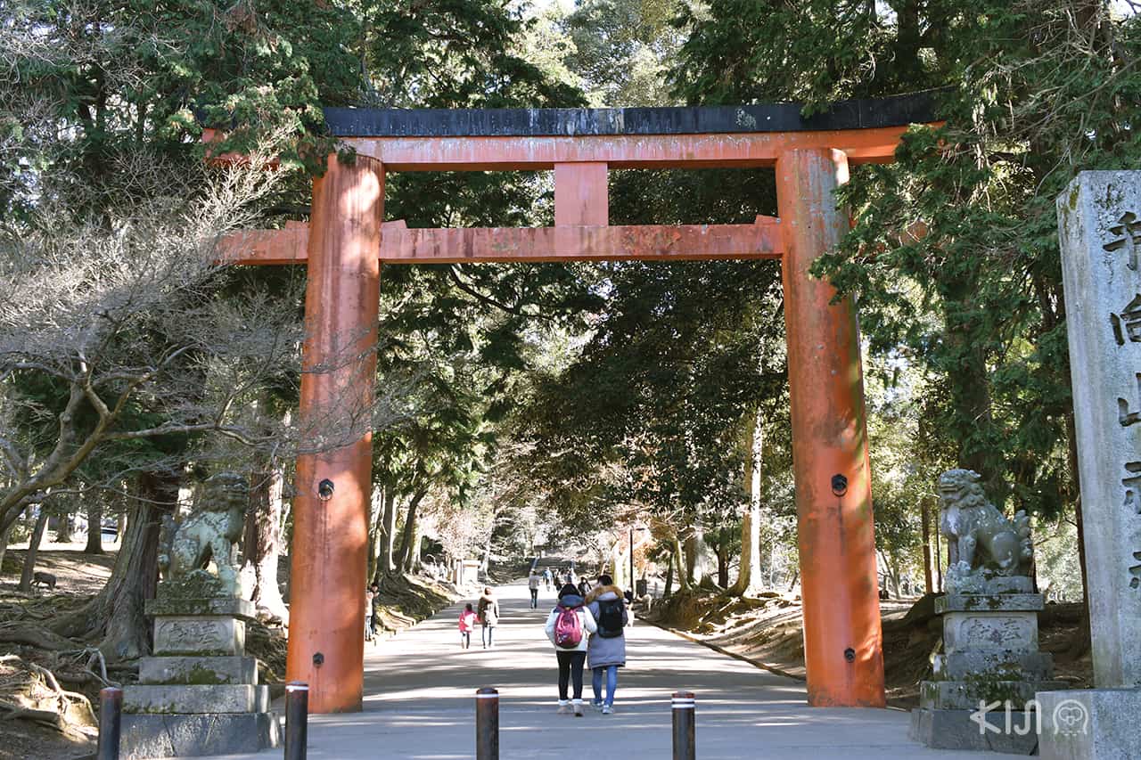 บริเวณวัดโทไดจิ (Todaiji Temple)