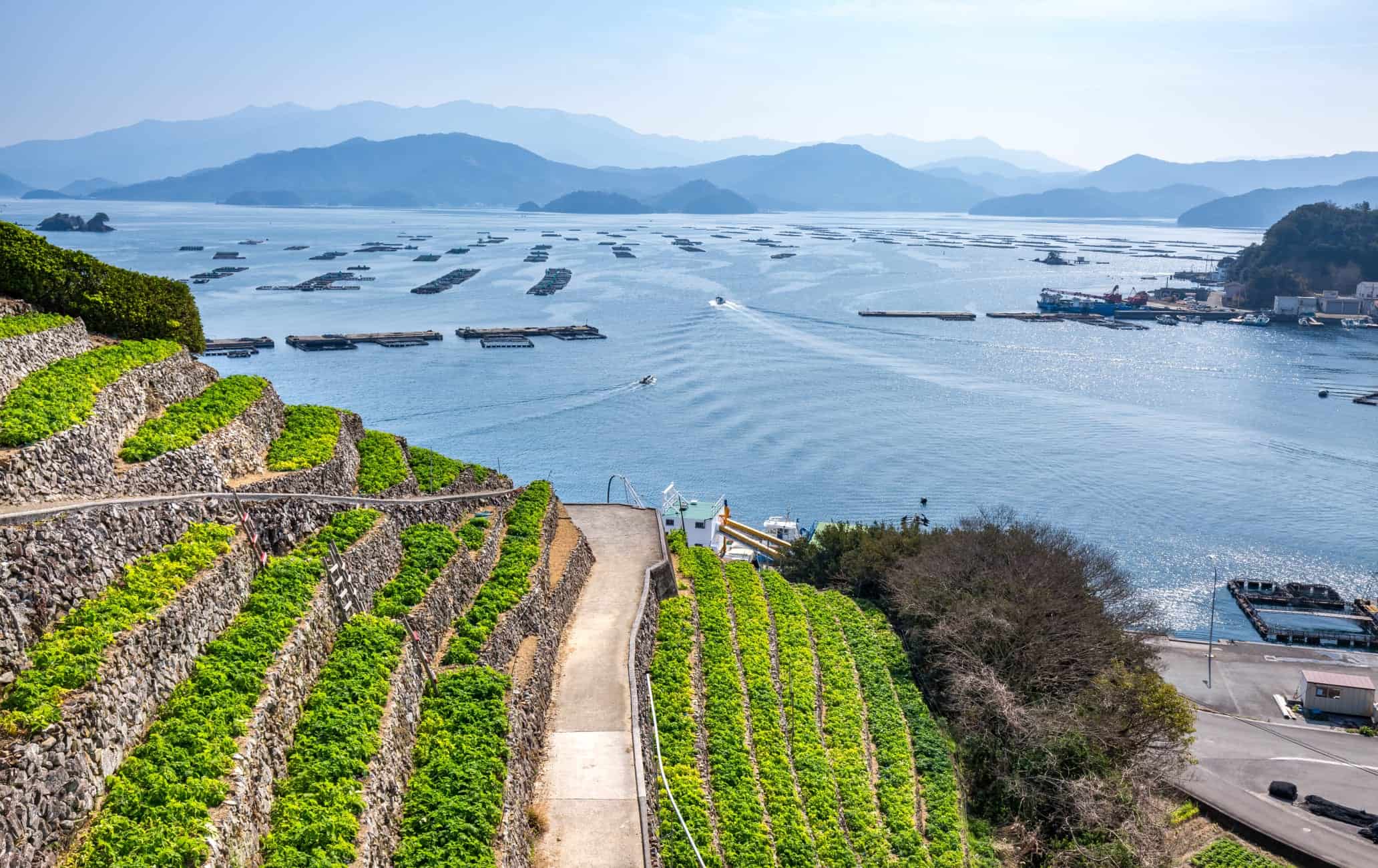 สวนขั้นบันได (Yusumizugaura Terrace Field) จ.เอฮิเมะ (Ehime)