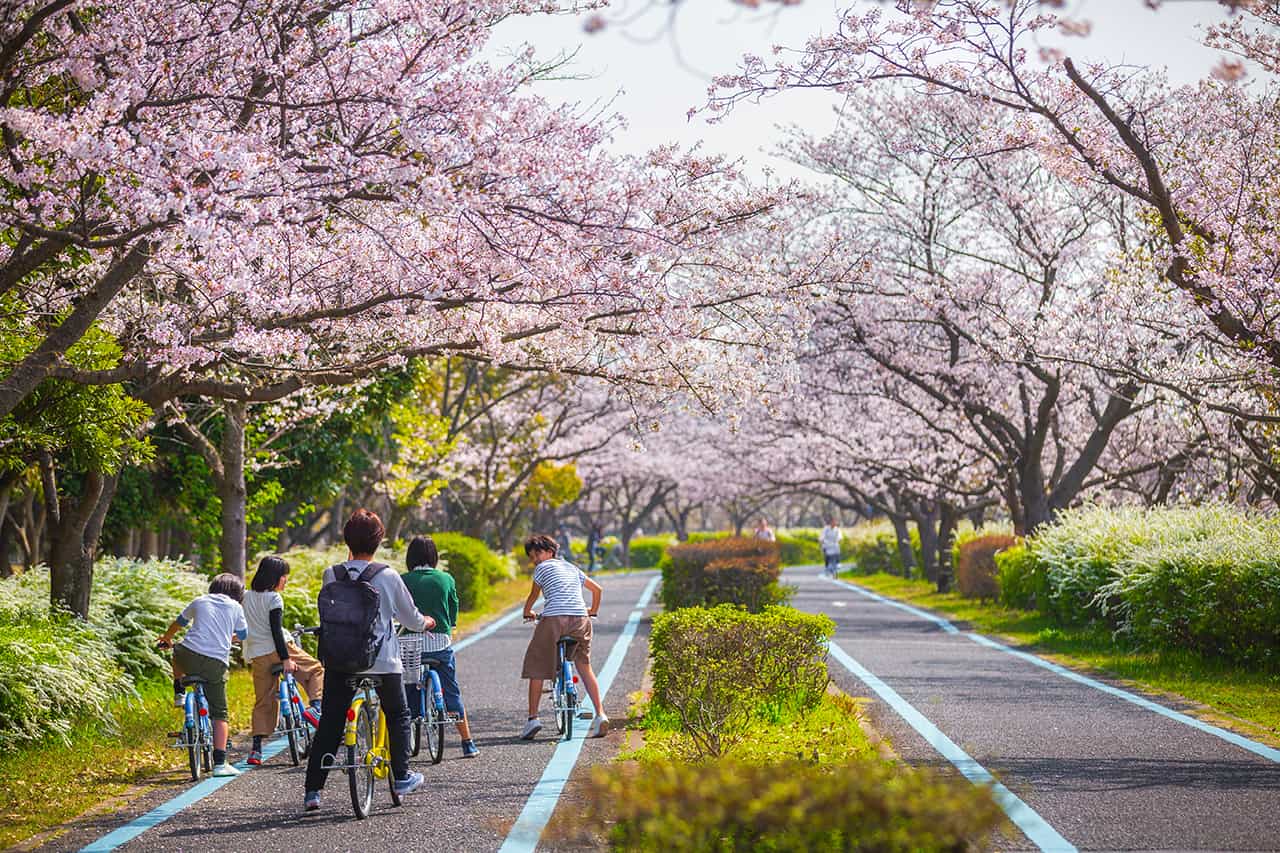 Uminonakamichi Seaside Park at Fukuoka