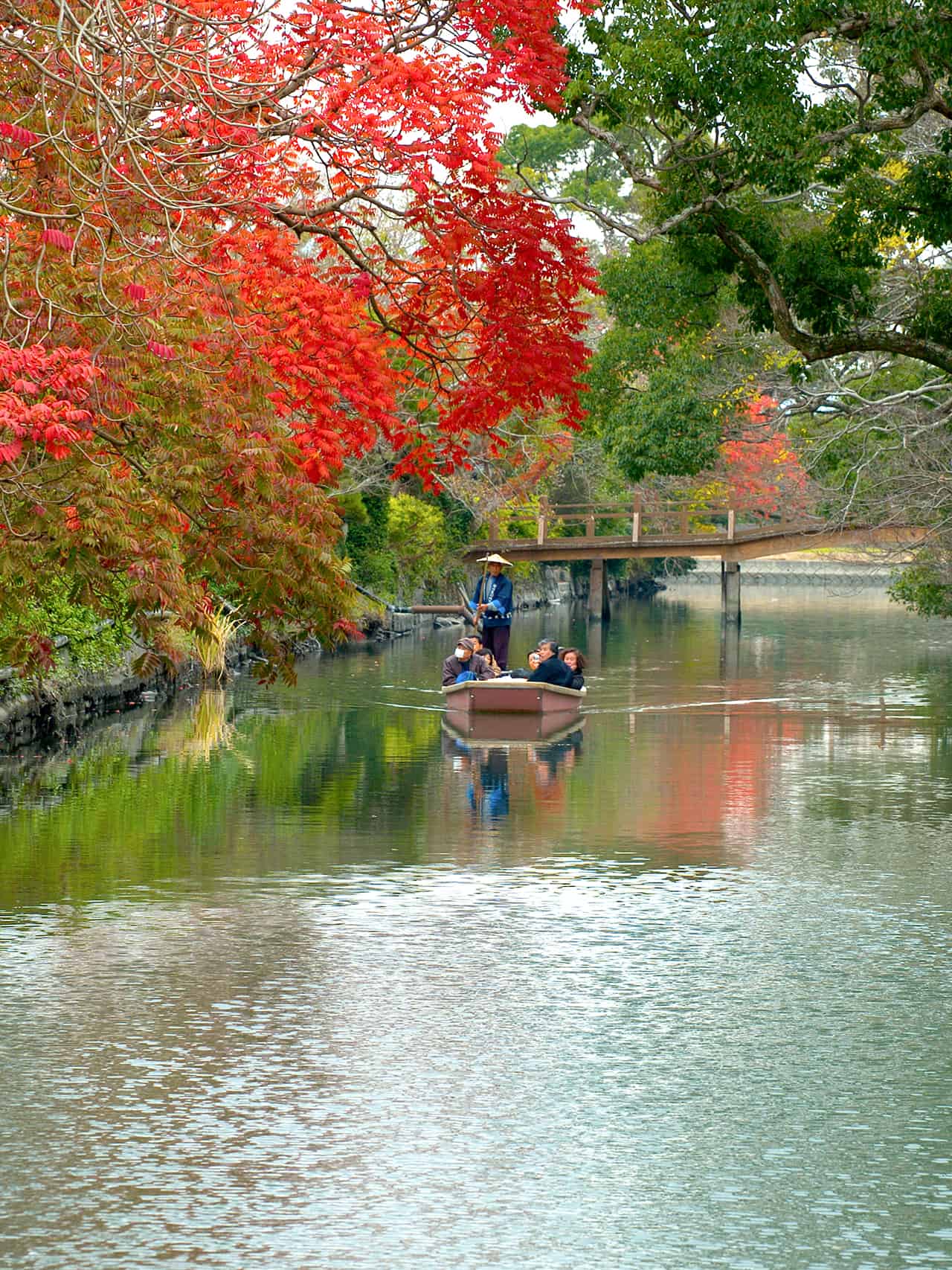 Yanakawa kawakudari at Fukuoka