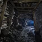 shutterstock_1146371813