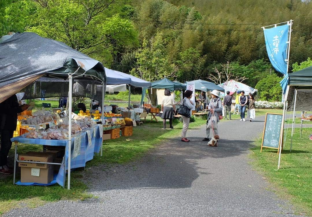 ตลาดออแกนิก (Kochi Organic Market)