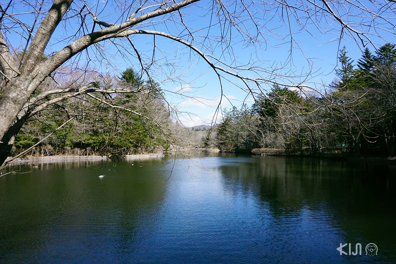 Kumoba Pond at Karuizawa