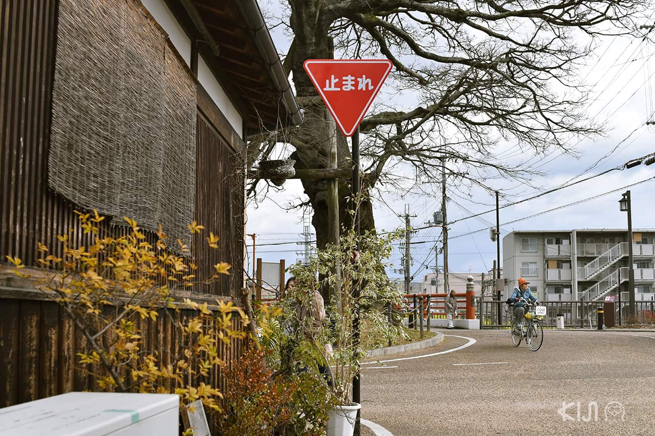 ถนนที่ย่าน Imaicho