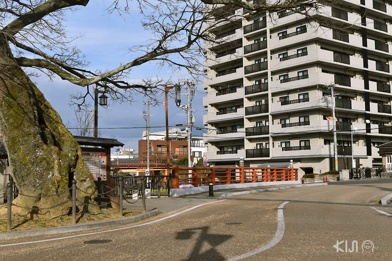 ตีกและอาคารในย่าน Imaicho