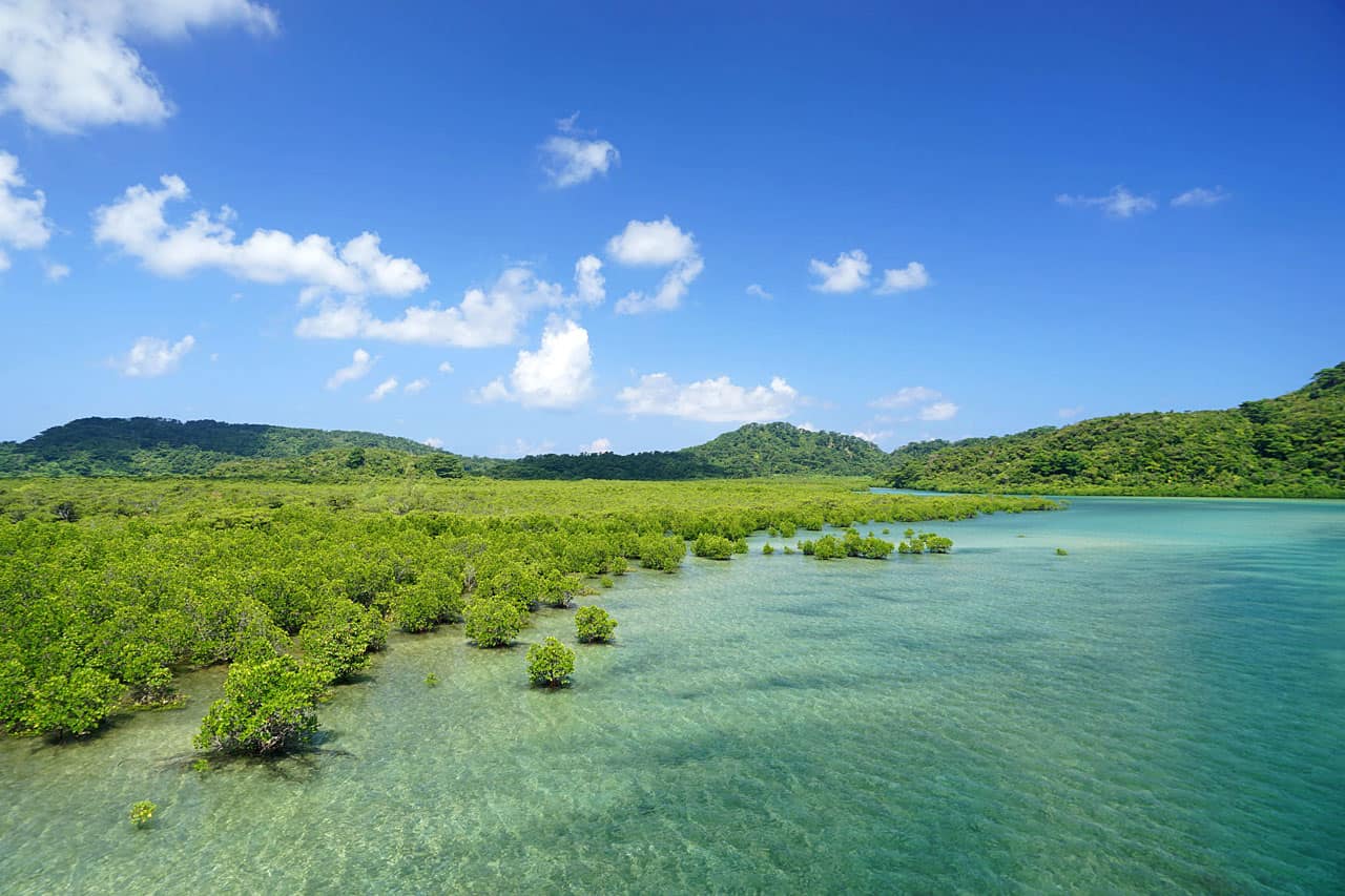 เกาะอิริโอโมเตะ (Iriomote-jima Island : 西表島)