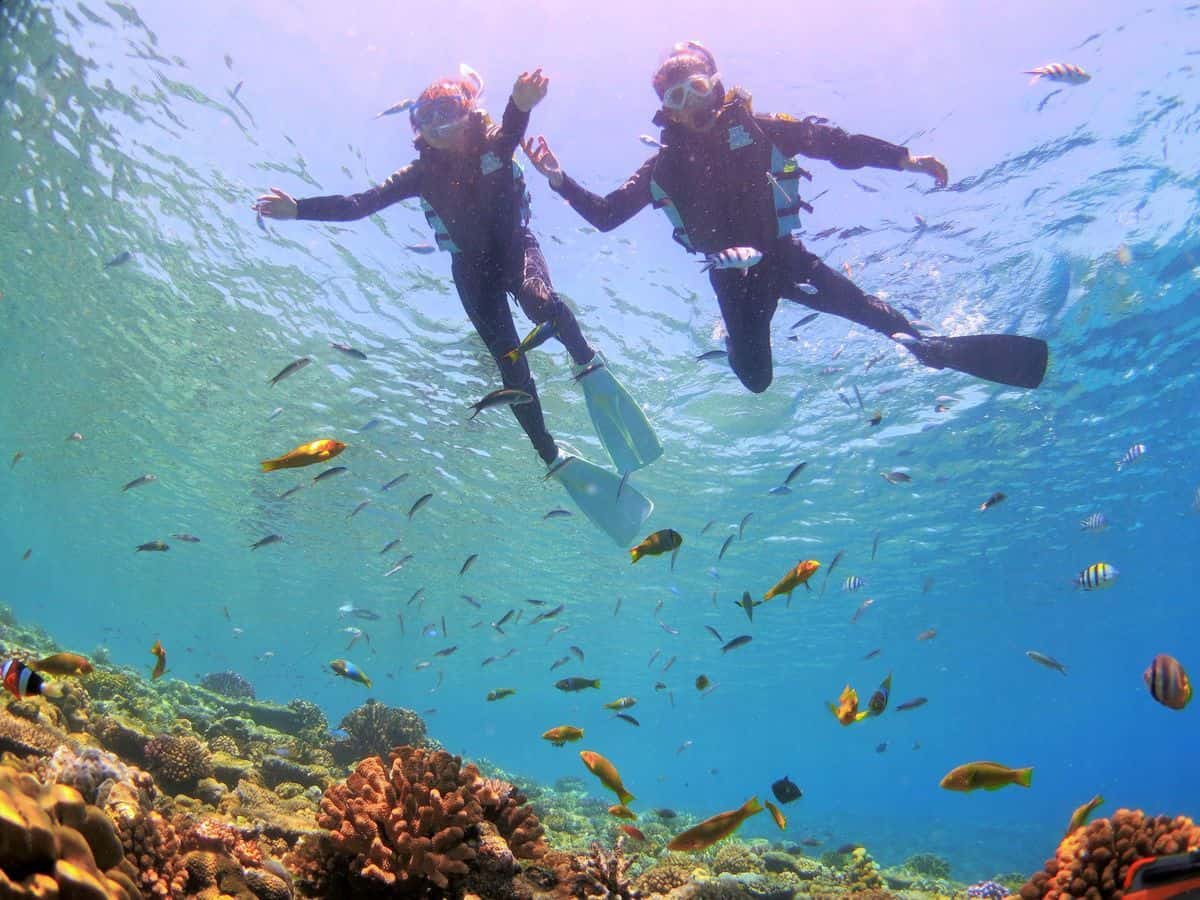 เกาะมินนะ (Minna-jima Island : 水納島)
