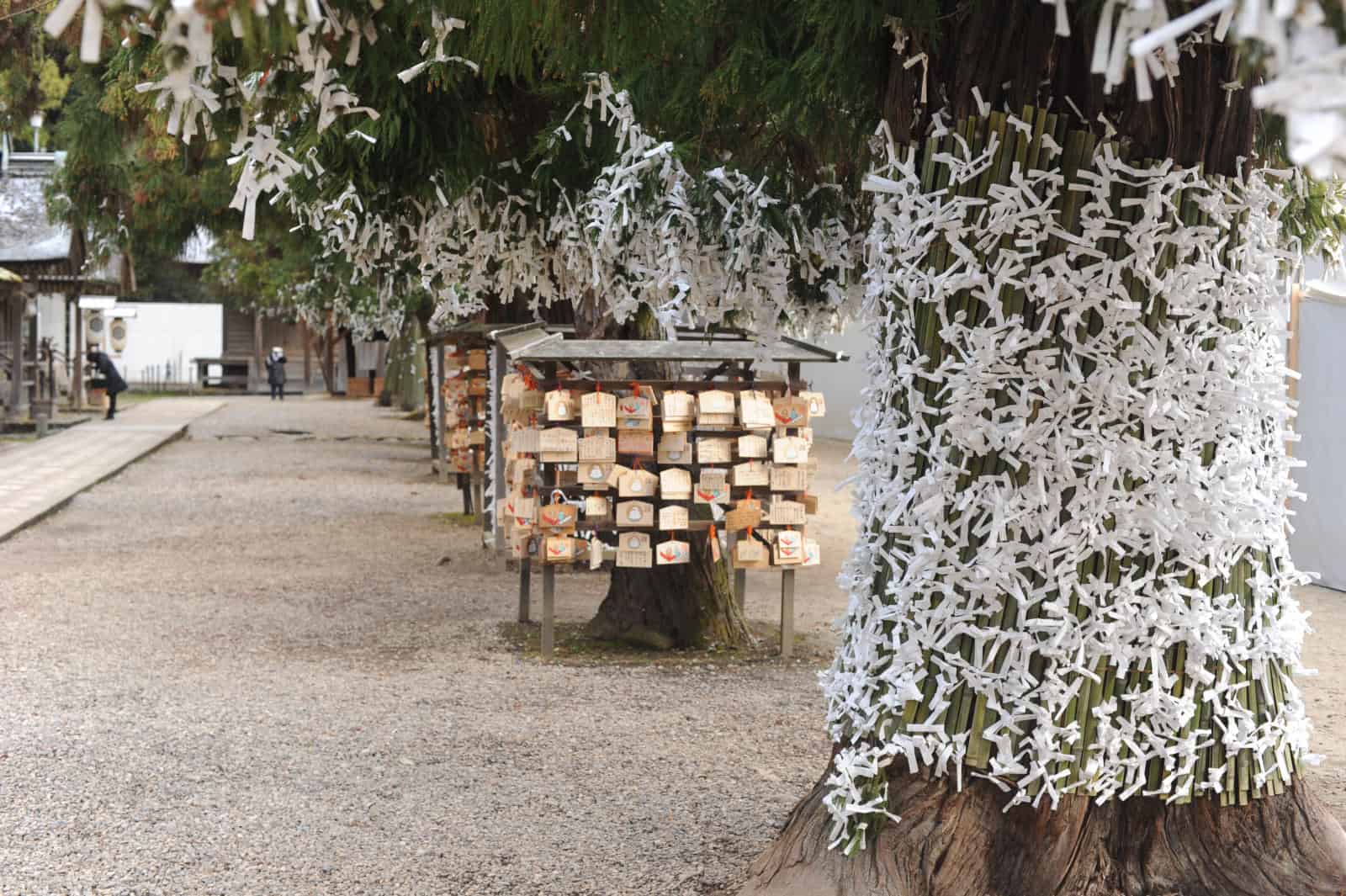 บรรยากาศภายในศาลเจ้าอิซุโมะ (Izumo-taisha)