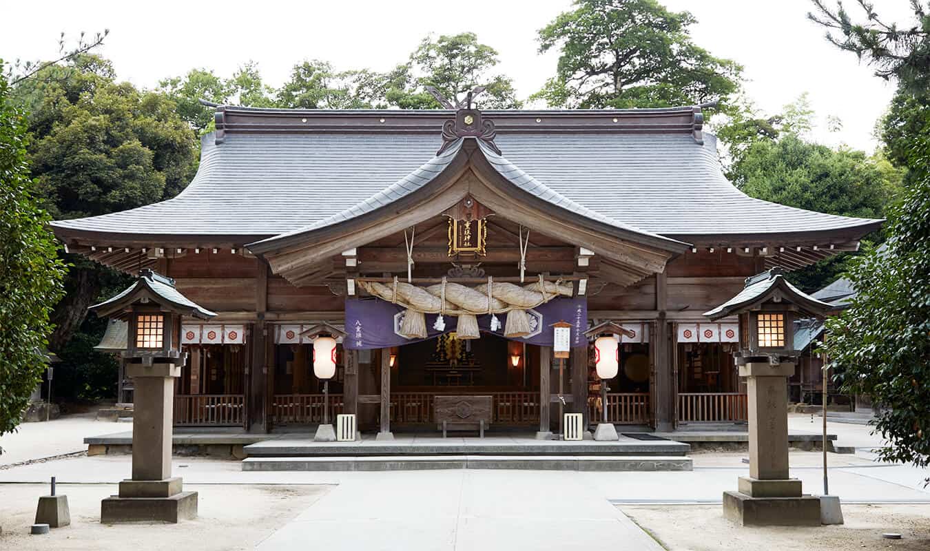 Shimanekko Tour : Yaegaki Shrine