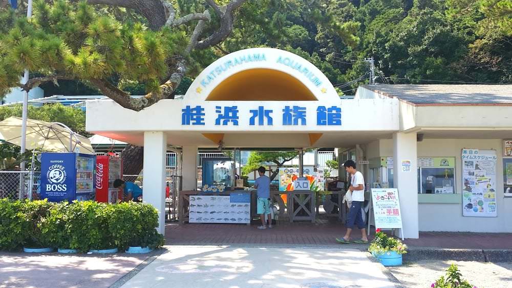 คัตสึระฮามะ อควาเรียม (Katsurahama Aquarium) เมืองโคจิ (Kochi)
