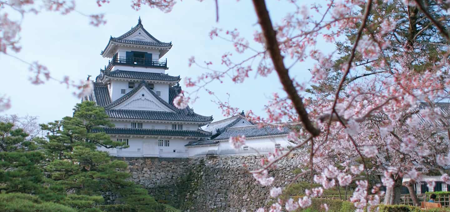 ปราสาทโคจิ (Kochi Castle) ในช่วงฤดูใบไม้ผลิ